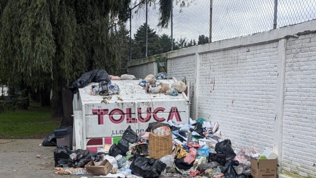 Basura tirada en parque